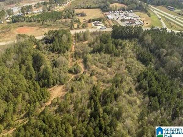 30 Acres of Commercial Land for Sale in Lincoln, Alabama