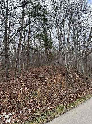 200 Acres of Land for Sale in Means, Kentucky