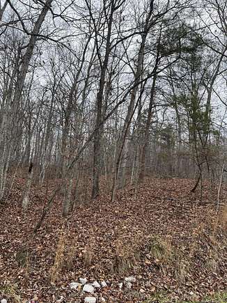 200 Acres of Land for Sale in Means, Kentucky