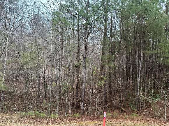 1.6 Acres of Residential Land for Sale in Arley, Alabama