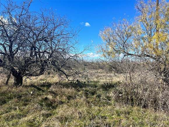 0.24 Acres of Residential Land for Sale in Brownwood, Texas