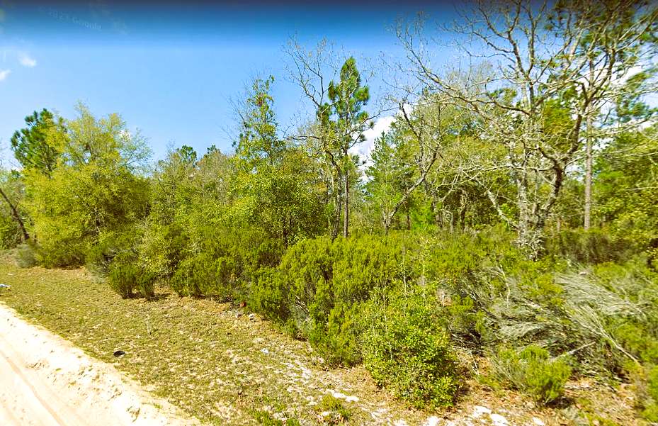 0.73 Acres of Residential Land for Sale in Interlachen, Florida