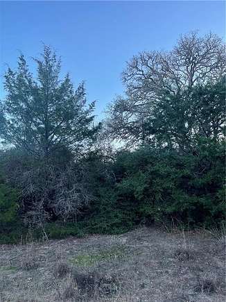 0.29 Acres of Residential Land for Sale in Hilltop Lakes, Texas