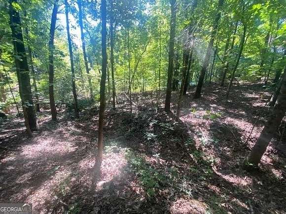 1.3 Acres of Residential Land for Sale in Clarkesville, Georgia