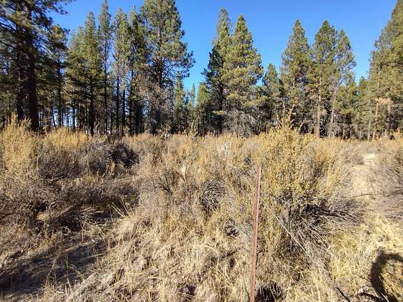 3.3 Acres of Residential Land for Sale in Chiloquin, Oregon