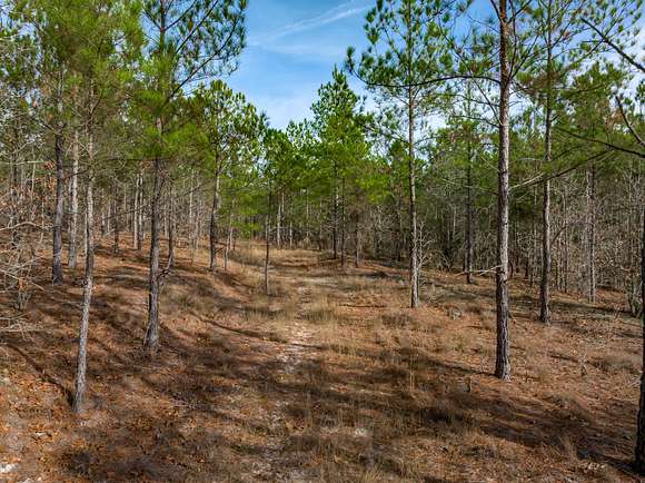 85.2 Acres of Recreational Land for Sale in Patrick, South Carolina