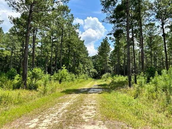 82 Acres of Recreational Land & Farm for Sale in Conway, South Carolina