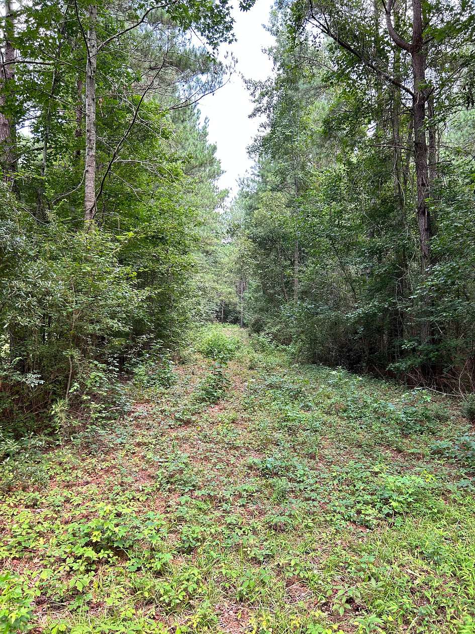40.9 Acres of Recreational Land for Sale in Conway, South Carolina