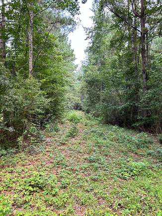 40.9 Acres of Recreational Land for Sale in Conway, South Carolina