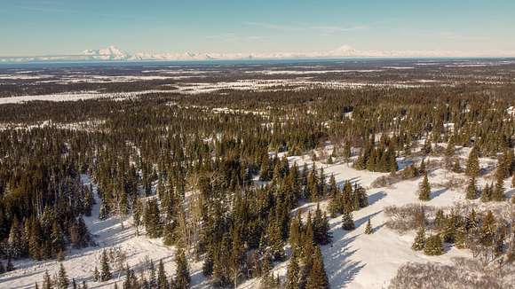20 Acres of Land for Sale in Anchor Point, Alaska