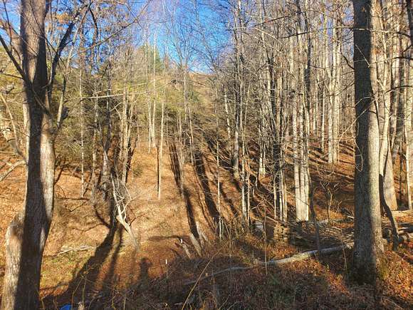 1.5 Acres of Residential Land for Sale in Roan Mountain, Tennessee