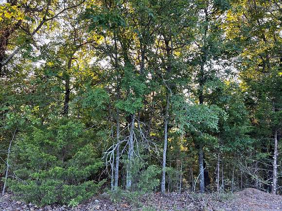 1.5 Acres of Land for Sale in Protem, Missouri