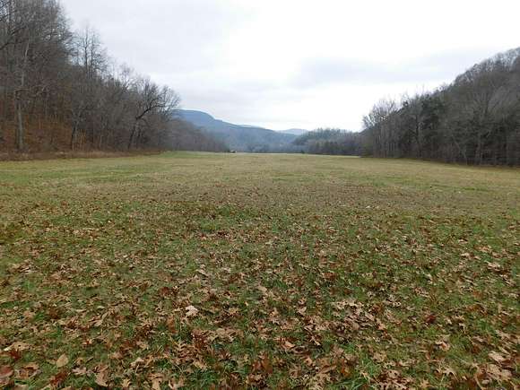 68 Acres of Recreational Land & Farm for Sale in Jasper, Arkansas