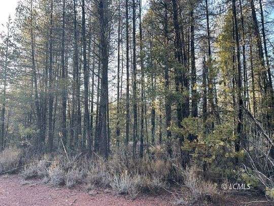 1.1 Acres of Residential Land for Sale in Chiloquin, Oregon