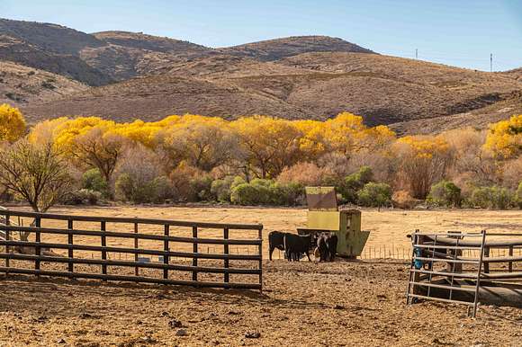 335 Acres of Land for Sale in Apache Grove, Arizona