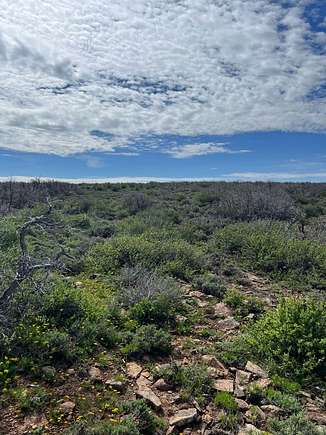 40 Acres of Land for Sale in Dove Creek, Colorado