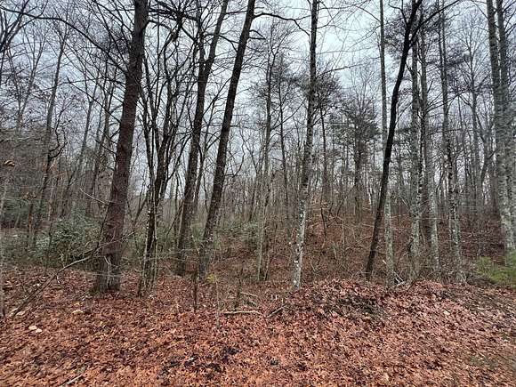 5.1 Acres of Residential Land for Sale in Dunlap, Tennessee