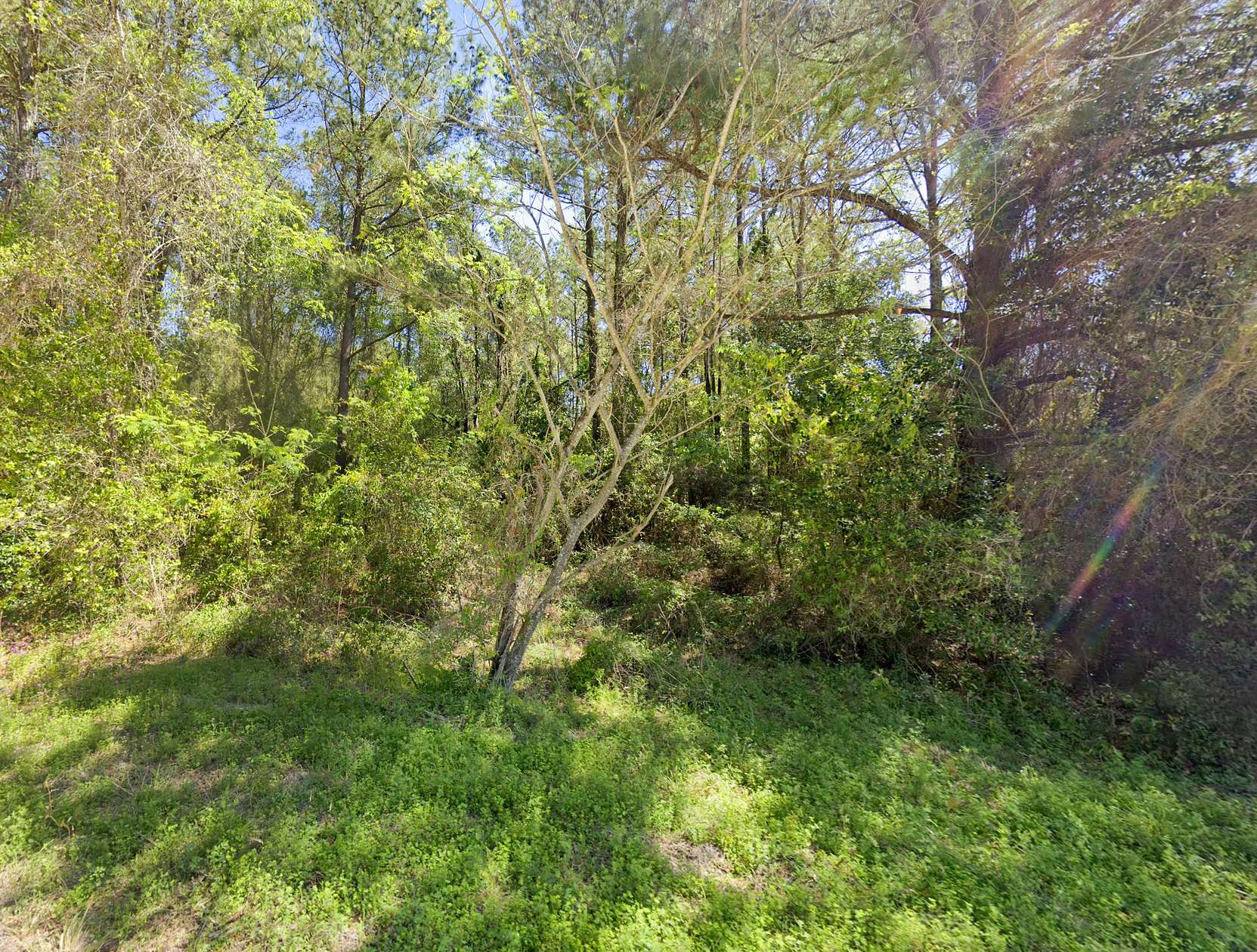 0.55 Acres of Residential Land for Sale in Lake City, South Carolina