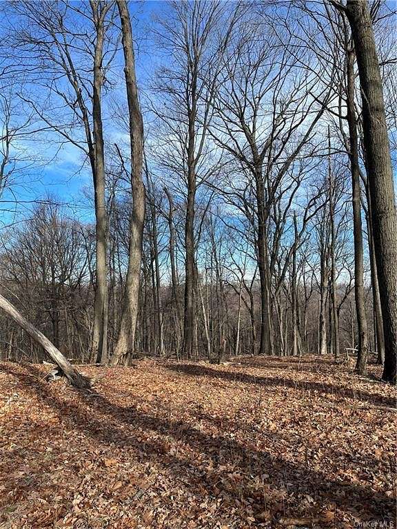 0.41 Acres of Land for Sale in Dover Town, New York