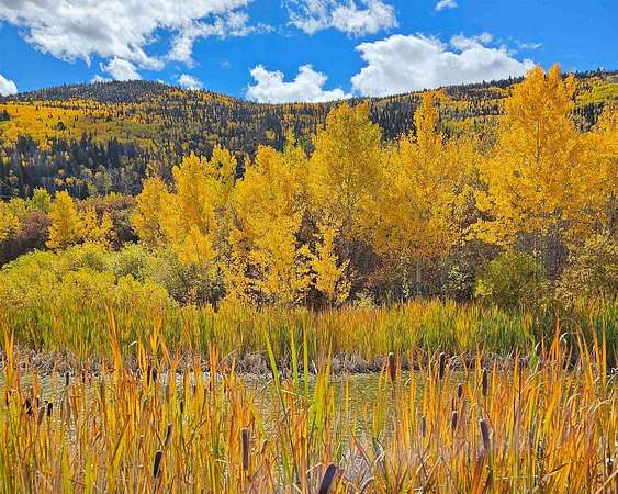 35 Acres of Recreational & Residential Land for Sale in Mesa, Colorado