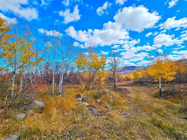 35 Acres of Recreational & Residential Land for Sale in Mesa, Colorado