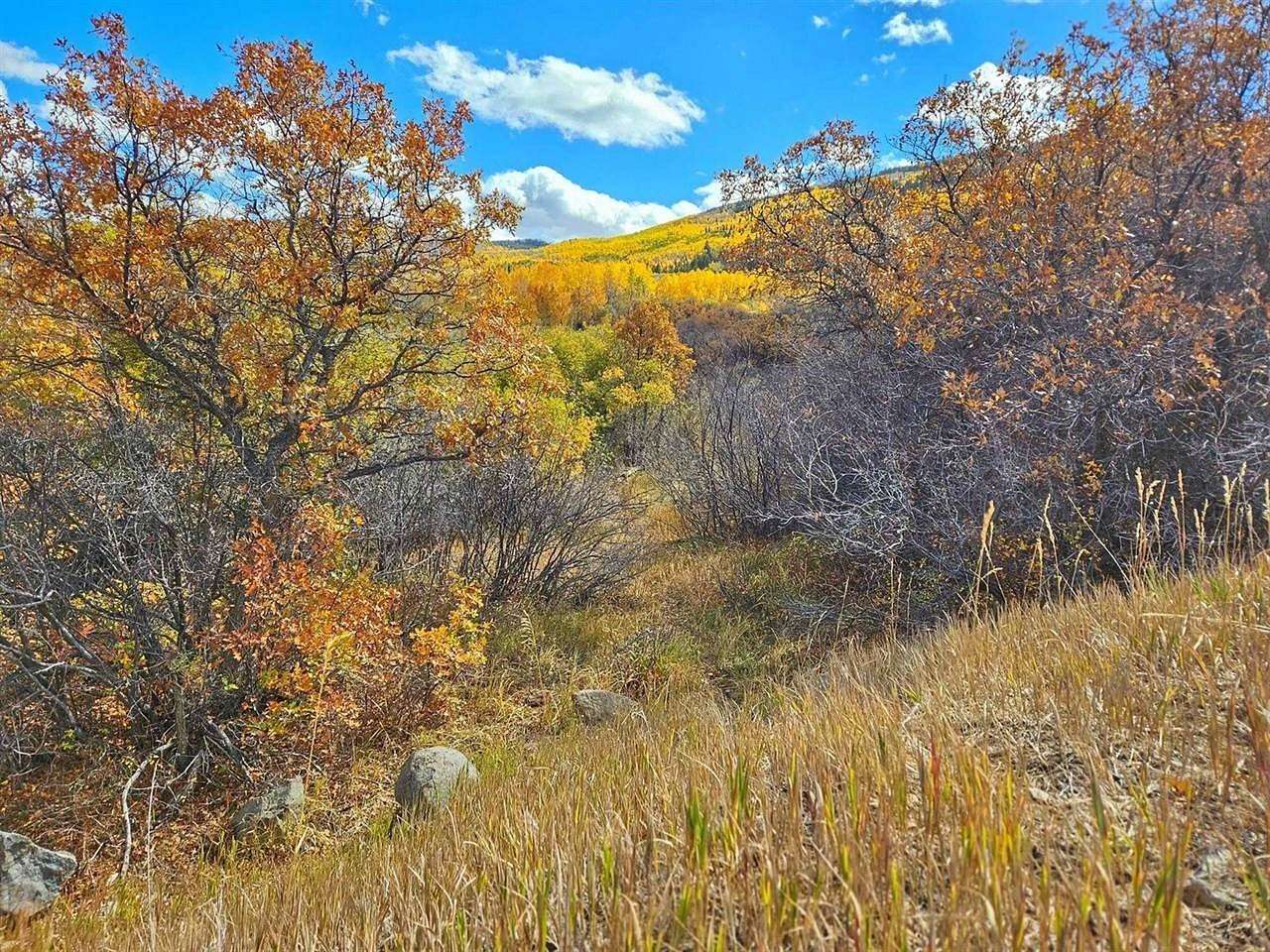 37.9 Acres of Recreational & Residential Land for Sale in Mesa, Colorado