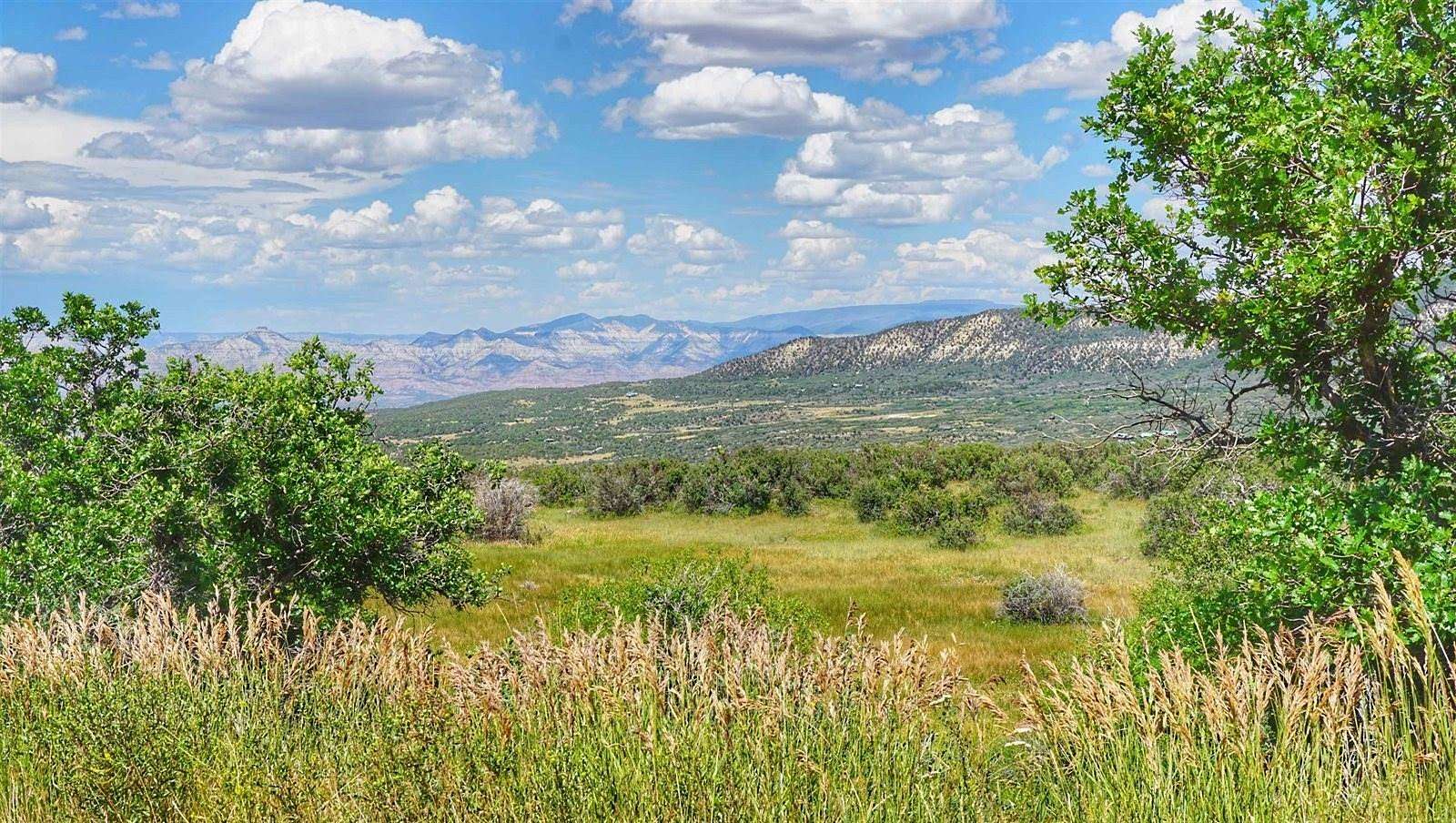 37.9 Acres of Recreational & Residential Land for Sale in Mesa, Colorado