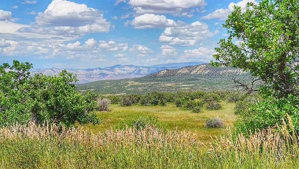 37.9 Acres of Recreational & Residential Land for Sale in Mesa, Colorado