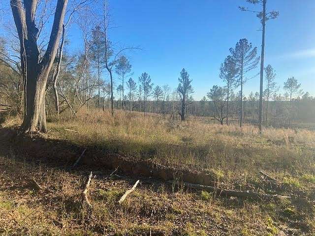 3 Acres of Residential Land for Sale in Waynesboro, Mississippi