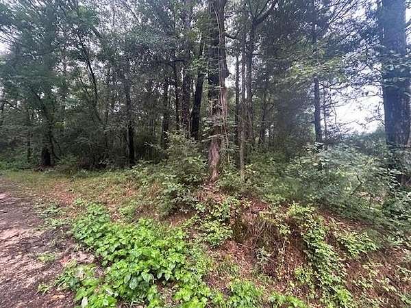 5.33 Acres of Land for Sale in Waynesboro, Mississippi