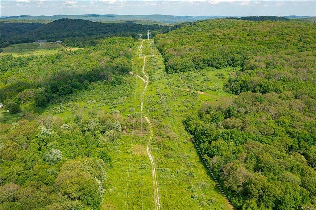 73.62 Acres of Land for Sale in Dover Plains, New York