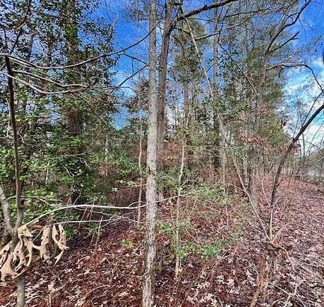 0.69 Acres of Residential Land for Sale in Jamaica, Virginia