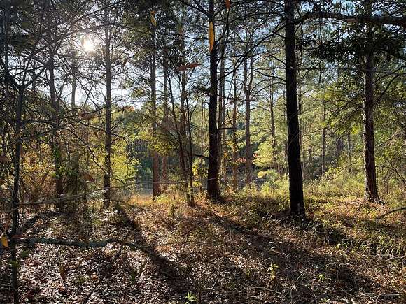 3.8 Acres of Residential Land for Sale in Albany, Georgia