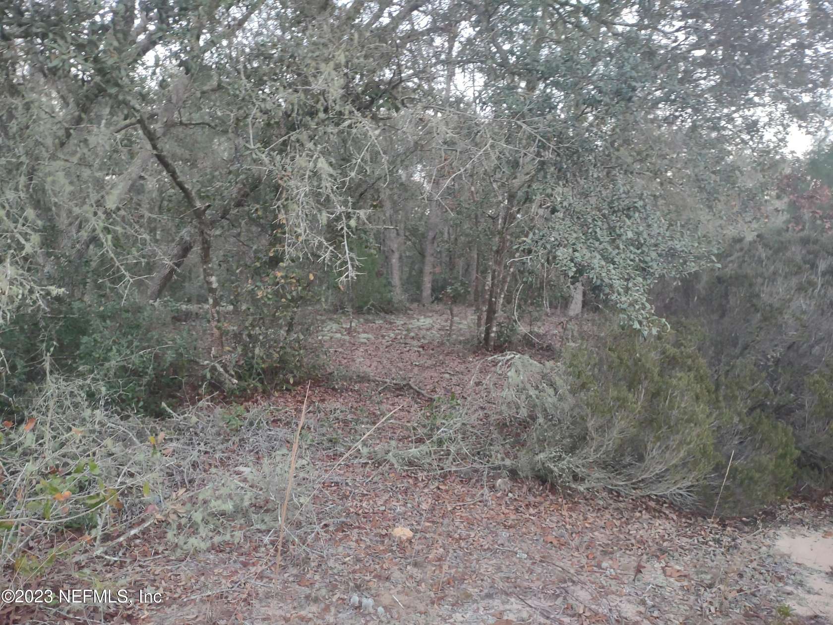 0.56 Acres of Residential Land for Sale in Interlachen, Florida