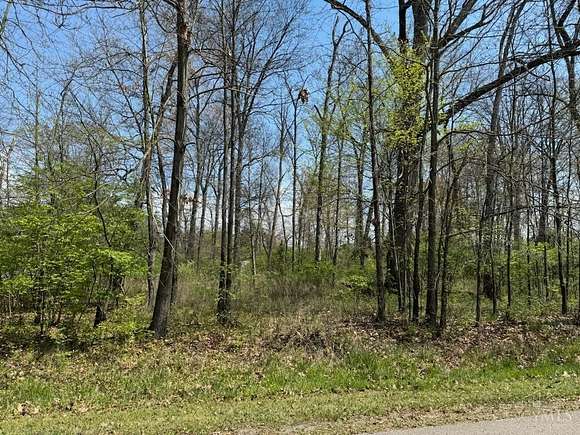 0.366 Acres of Residential Land for Sale in Fayetteville, Ohio
