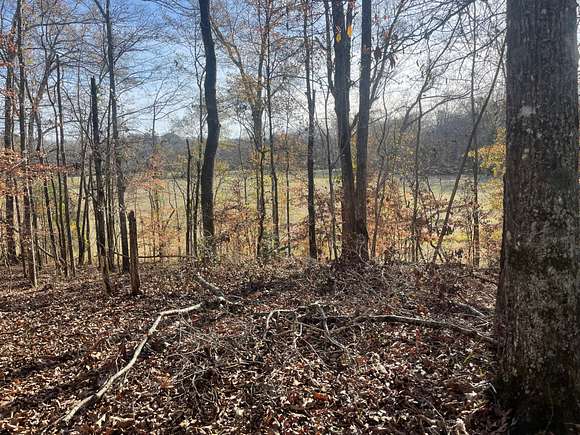 6.5 Acres of Recreational Land & Farm for Sale in Alexander City, Alabama