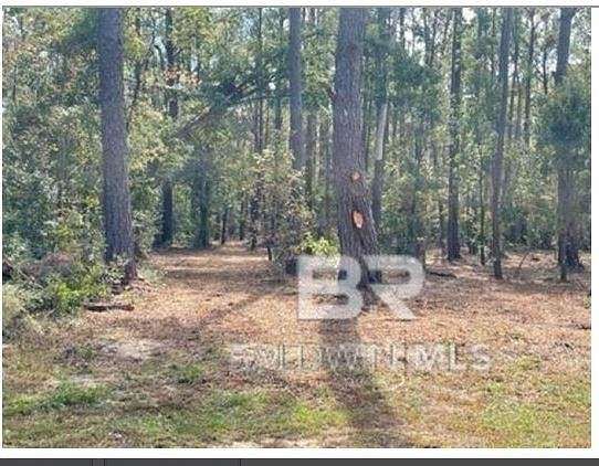 5.8 Acres of Residential Land for Sale in Foley, Alabama