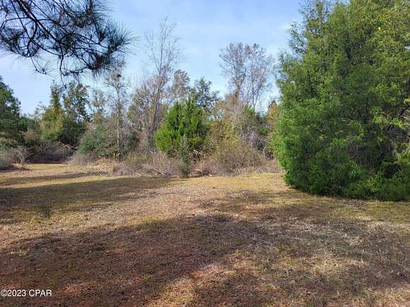 8.92 Acres of Residential Land for Sale in Altha, Florida