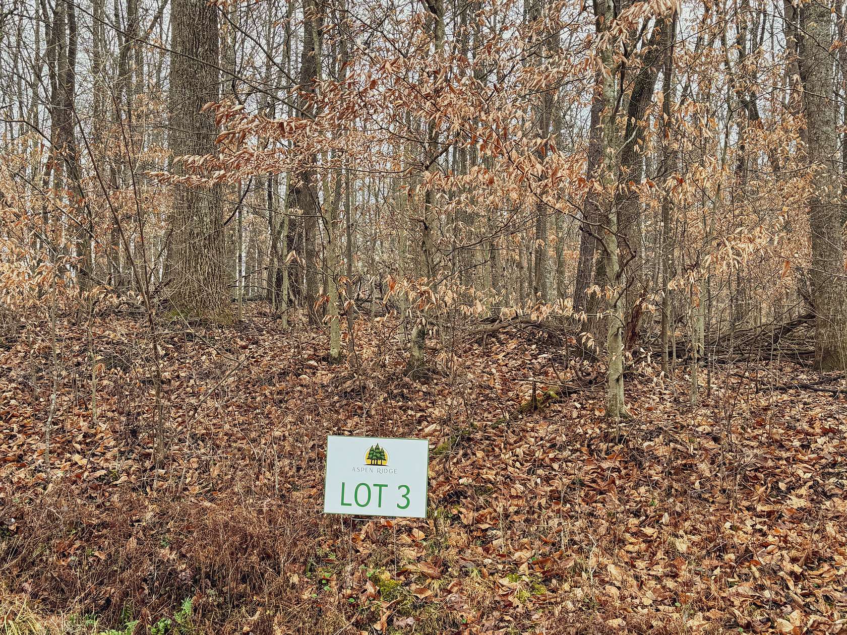 2.8 Acres of Residential Land for Sale in Buckhannon, West Virginia