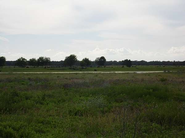 2.37 Acres of Residential Land for Sale in Cedar Lane, Texas