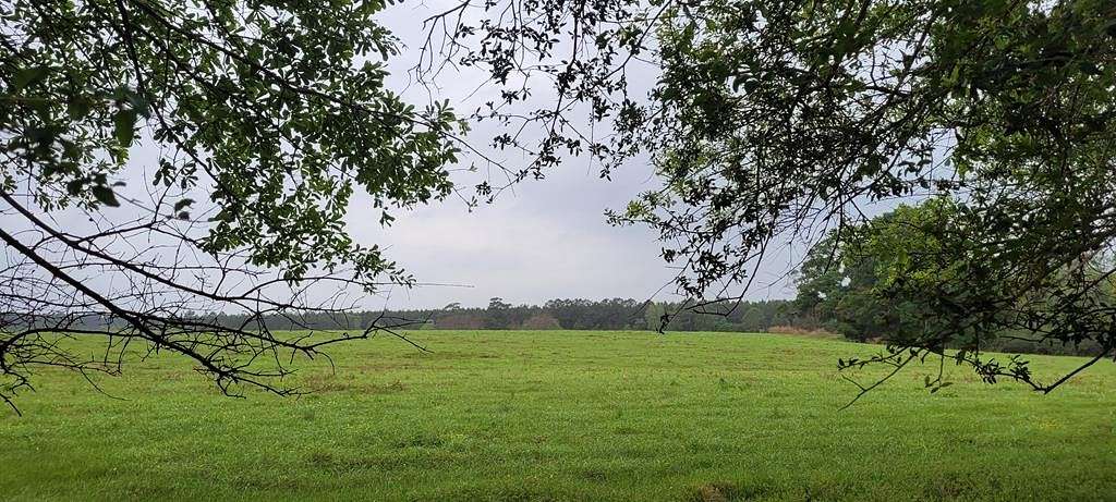 3.8 Acres of Residential Land for Sale in Poplarville, Mississippi
