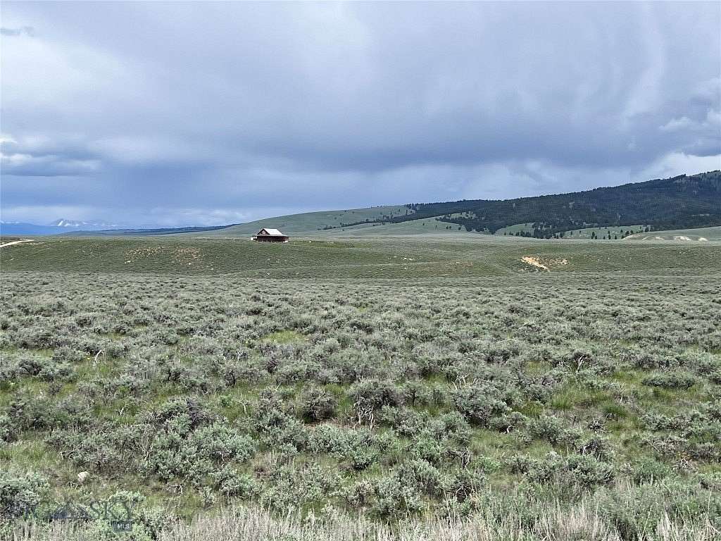 20 Acres of Recreational & Residential Land for Sale in Wisdom, Montana
