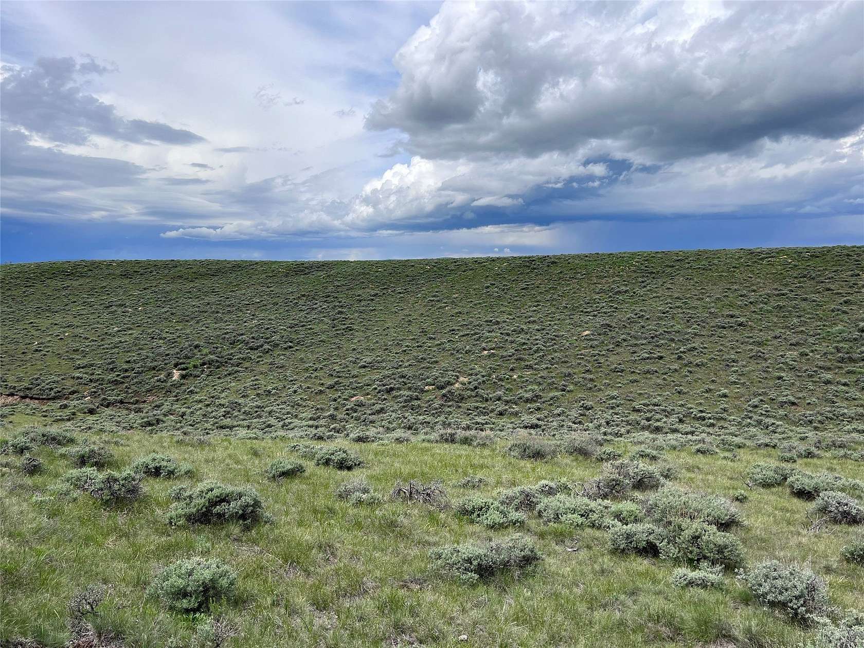 20 Acres of Recreational Land for Sale in Wisdom, Montana