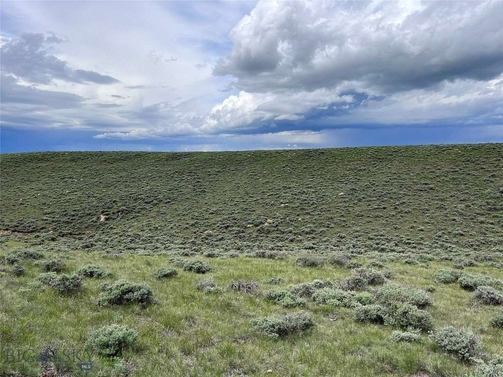 20 Acres of Recreational & Residential Land for Sale in Wisdom, Montana
