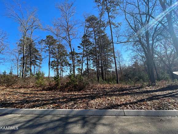 0.65 Acres of Residential Land for Sale in Rutledge, Tennessee