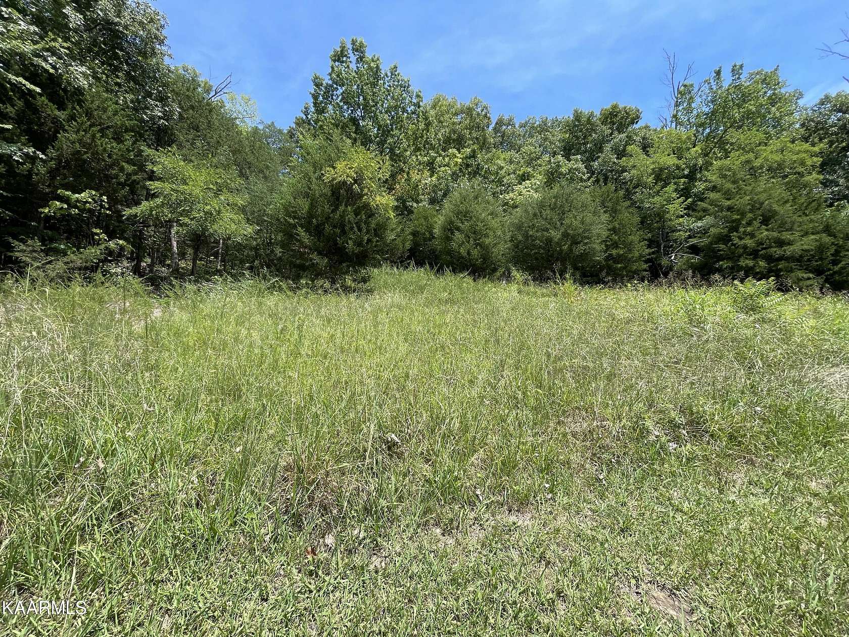 0.26 Acres of Residential Land for Sale in Newport, Tennessee
