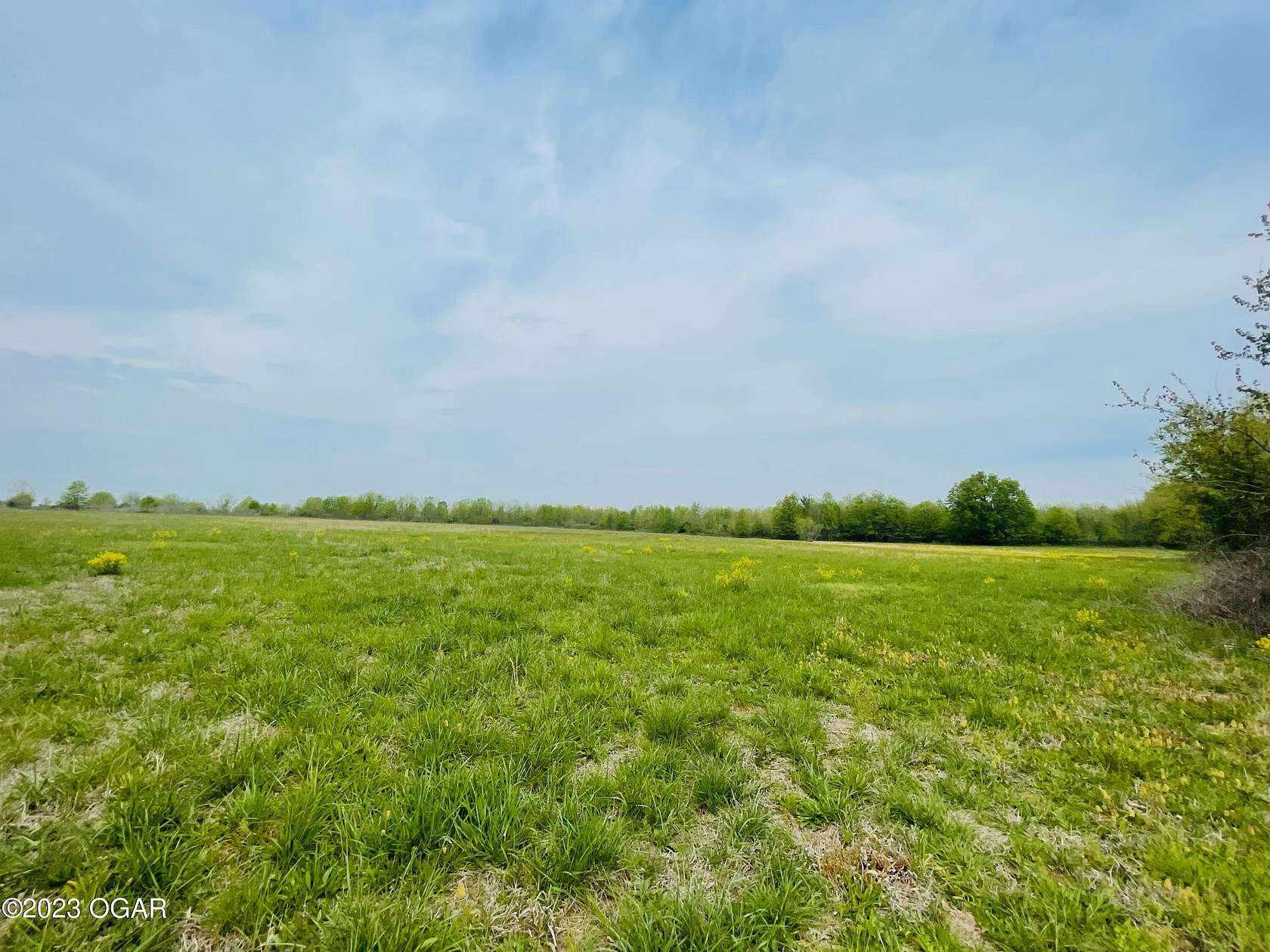 75.8 Acres of Recreational Land for Sale in Moundville, Missouri