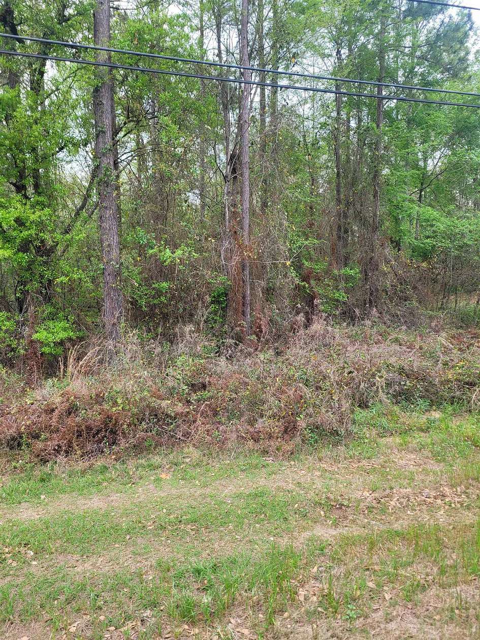 1 Acre of Residential Land for Sale in Bainbridge, Georgia