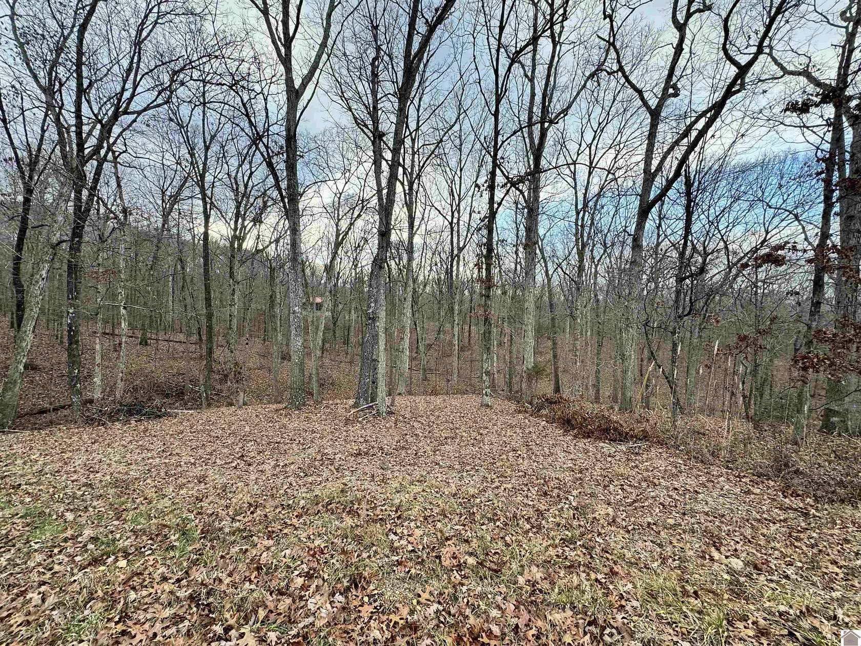 0.52 Acres of Residential Land for Sale in New Concord, Kentucky