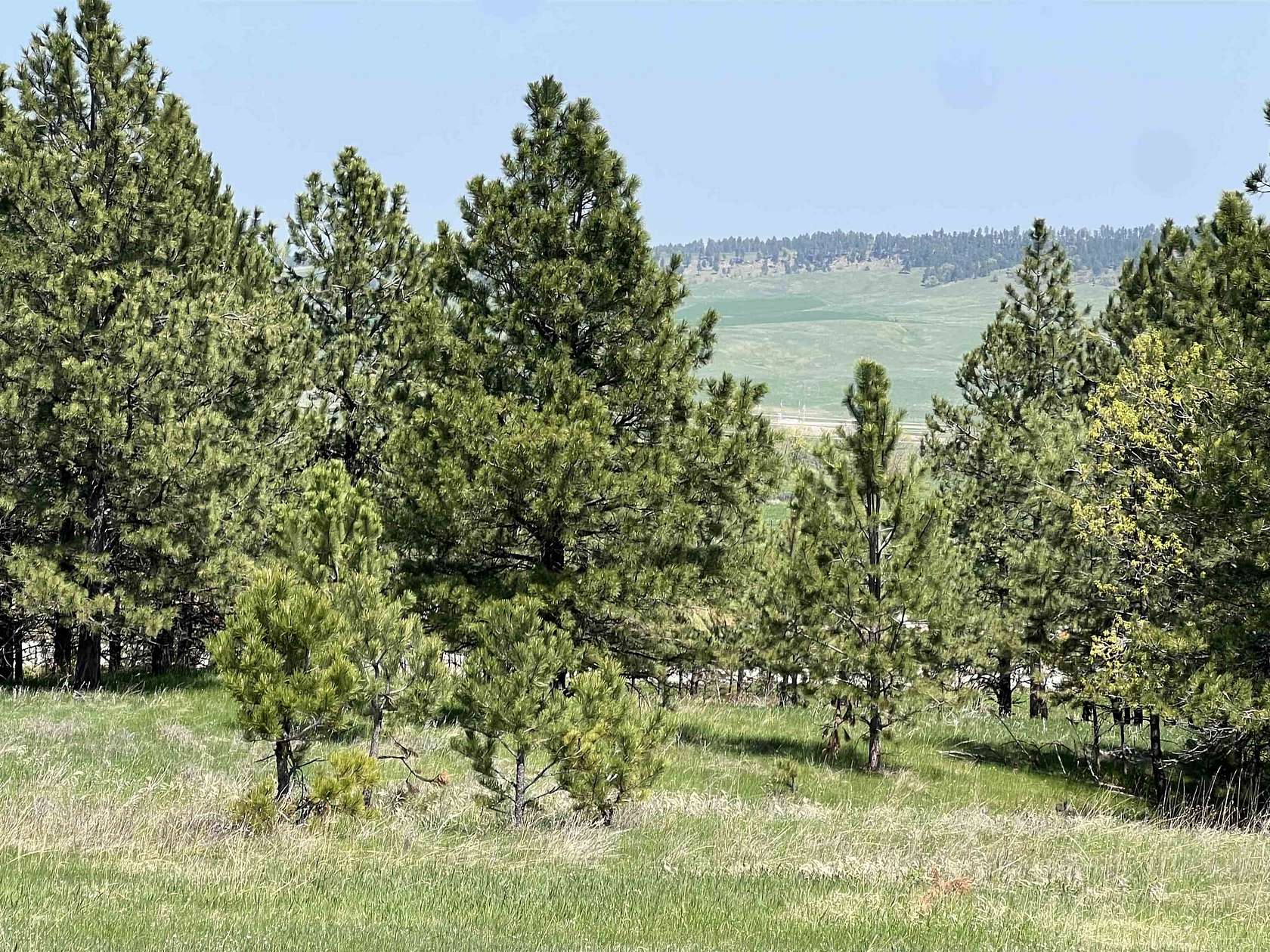 2.7 Acres of Residential Land for Sale in Whitewood, South Dakota